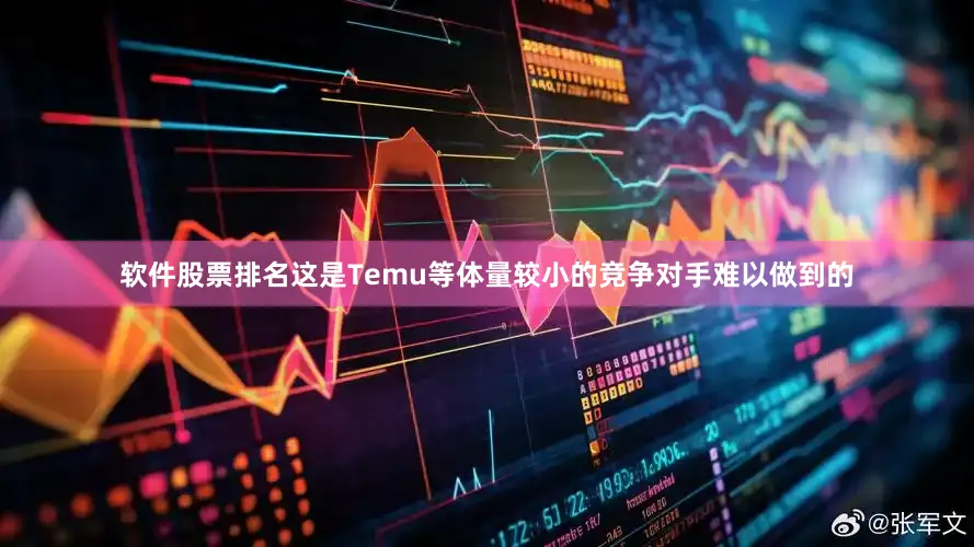软件股票排名这是Temu等体量较小的竞争对手难以做到的