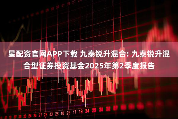 星配资官网APP下载 九泰锐升混合: 九泰锐升混合型证券投资基金2025年第2季度报告