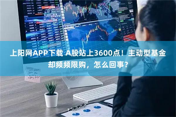 上阳网APP下载 A股站上3600点！主动型基金却频频限购，怎么回事？